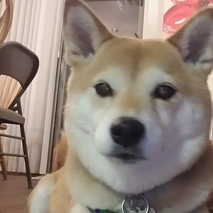 Meet your Posher, Pamela